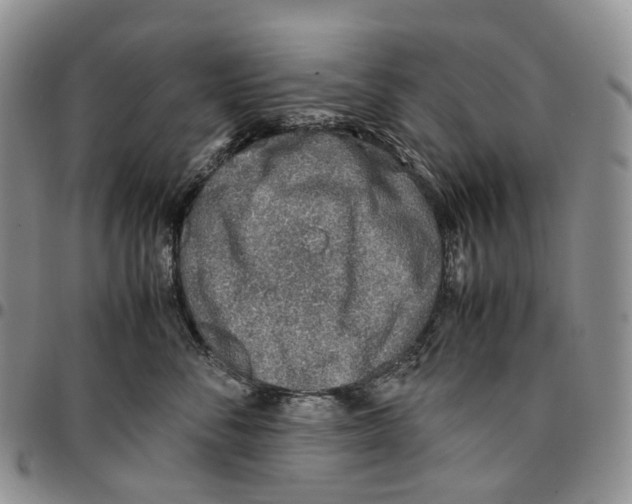 X0000096700716200803041321