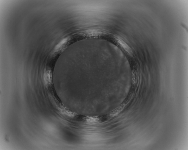 X0000096700718200803041321