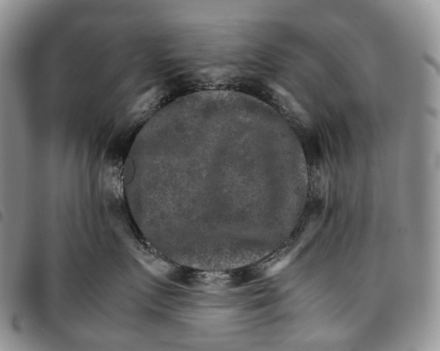 X0000096700719200803041321