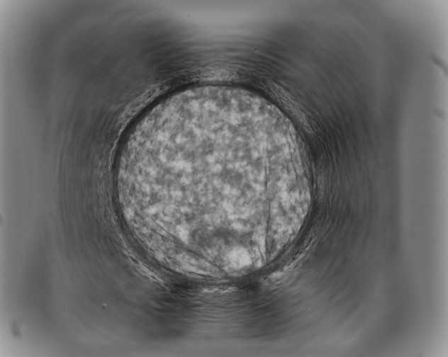 X0000096700721200803041320