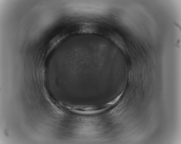 X0000096700722200803041320