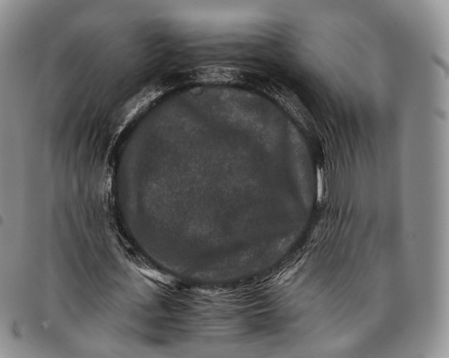 X0000096700723200803041320