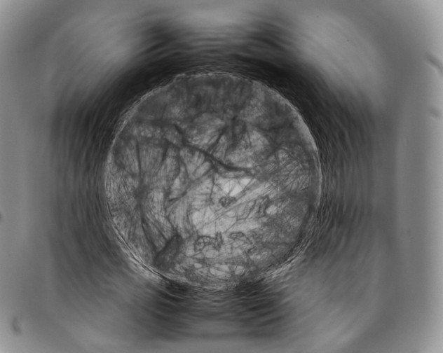 X0000096700725200803041320