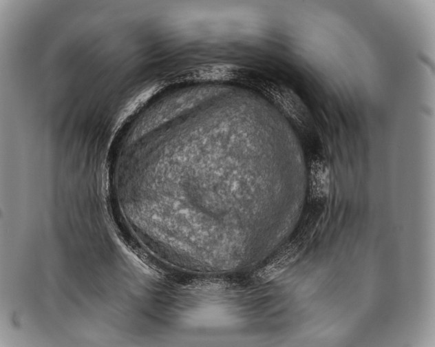 X0000096700726200803041320