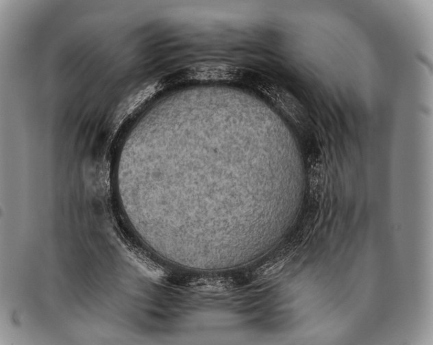 X0000096700727200803041320