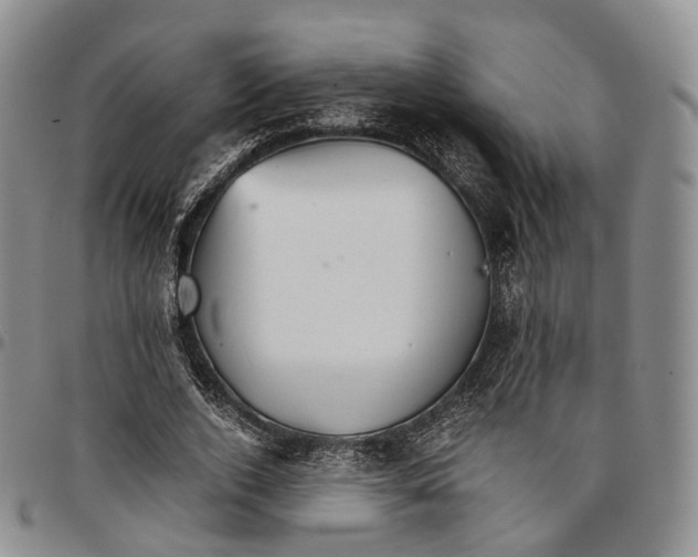 X0000096700728200803041320