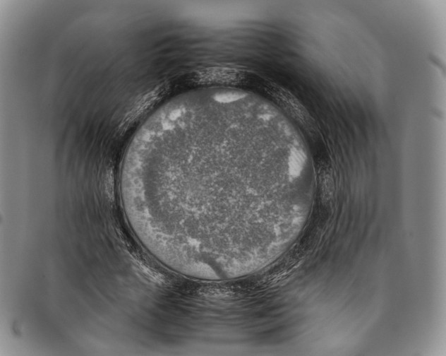 X0000096700729200803041321