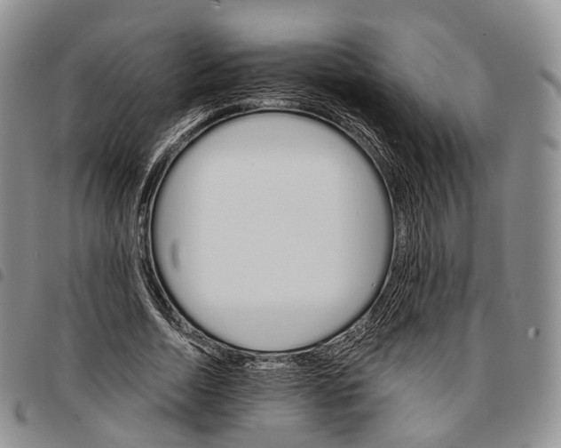 X0000096700730200803041321