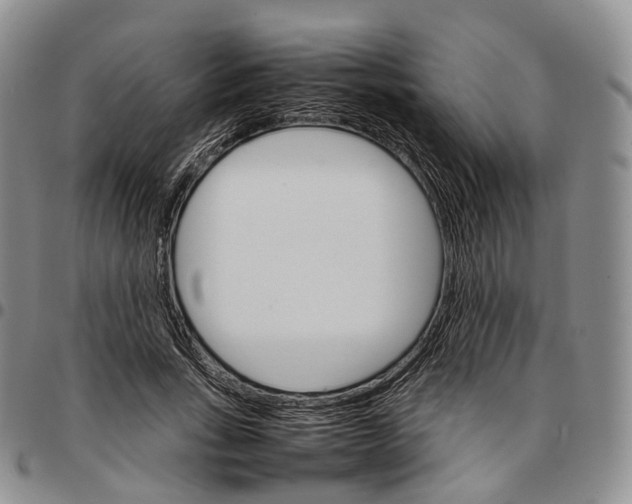 X0000096700735200803041321