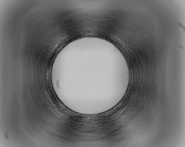 X0000096700739200803041321