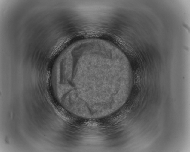X0000096700742200803041321