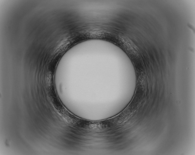 X0000096700744200803041321