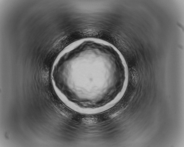 X0000096700745200803041321