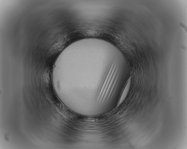 X0000096700746200803041321