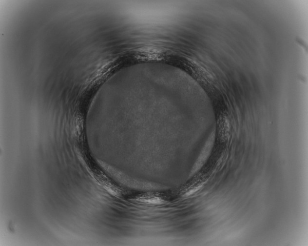 X0000096700747200803041321