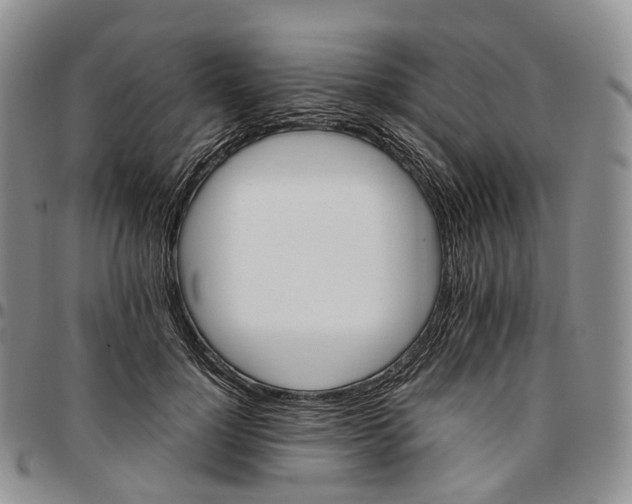 X0000096700748200803041321