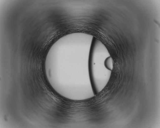 X0000096700750200803041321
