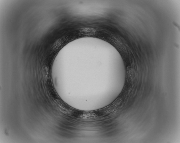 X0000096700752200803041321