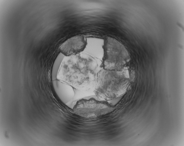 X0000096700753200803041321