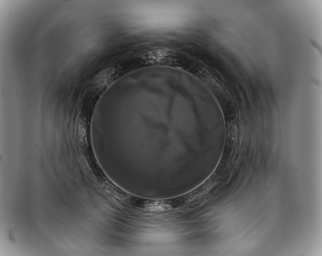 X0000096700754200803041321