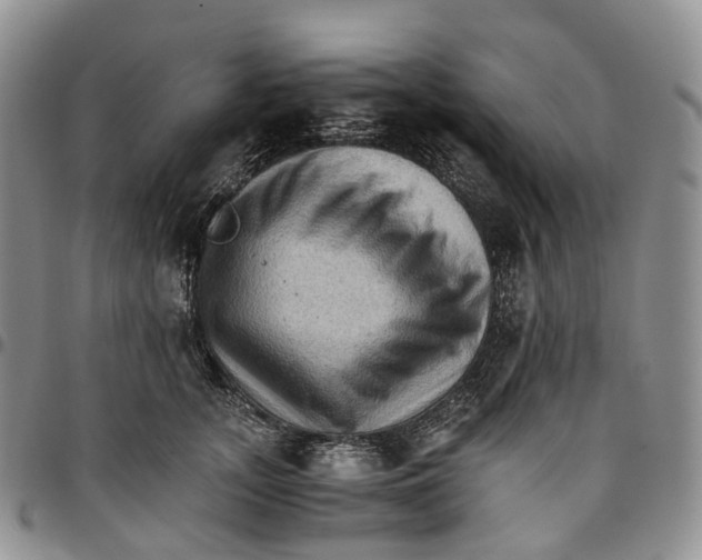X0000096700755200803041321