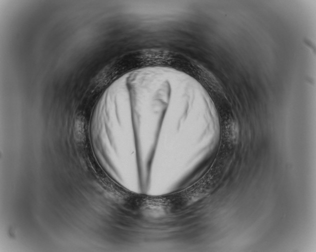 X0000096700757200803041321