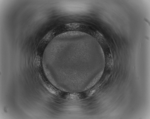 X0000096700758200803041321