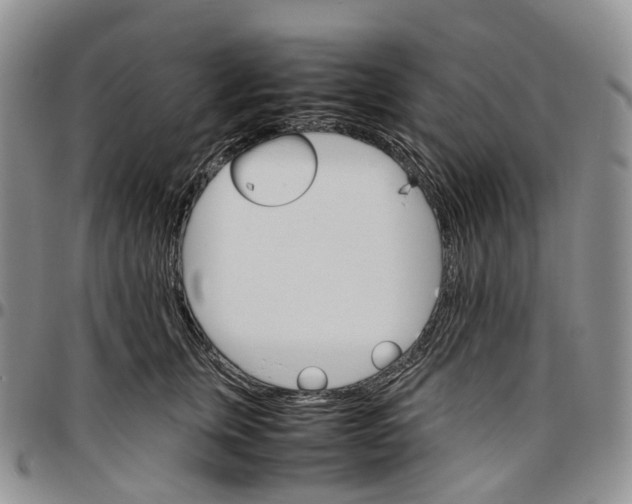 X0000096700759200803041321
