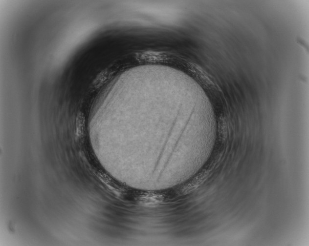 X0000096700760200803041321