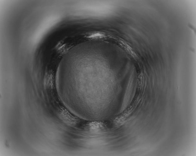 X0000096700762200803041321