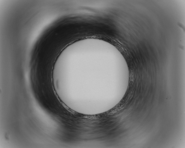 X0000096700763200803041321