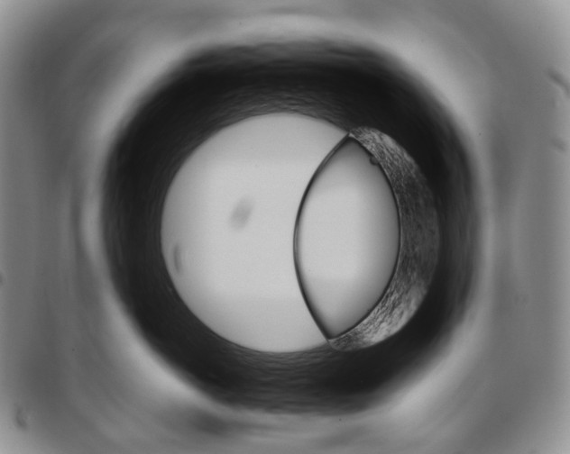 X0000096700766200803041321