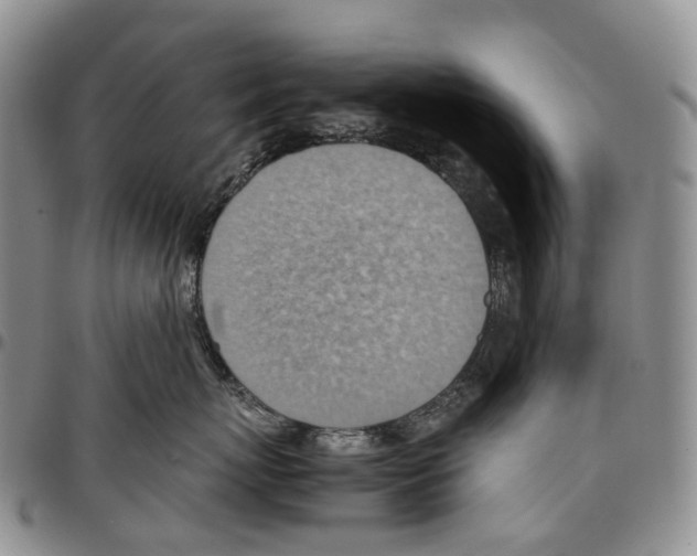 X0000096700767200803041321