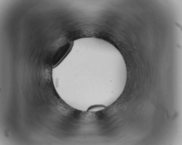 X0000096700768200803041321
