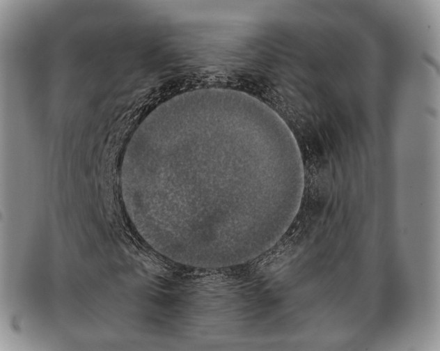 X0000096700769200803041320