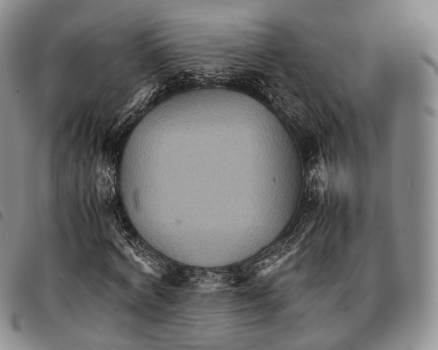 X0000096700772200803041320