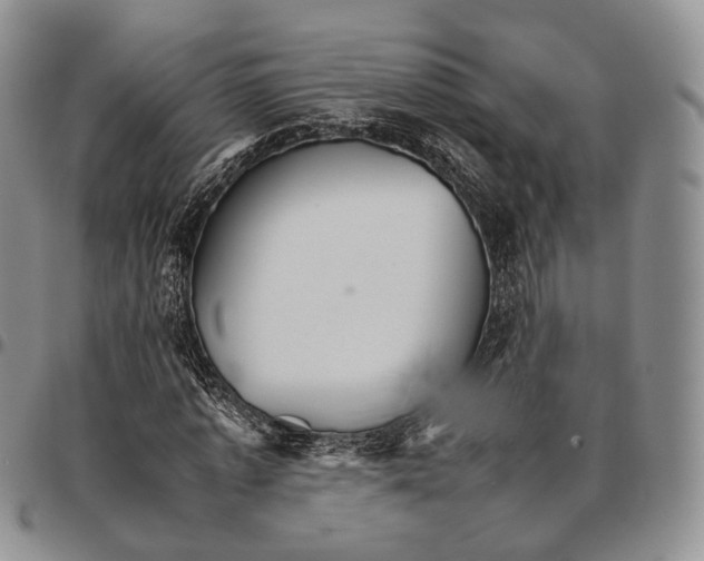 X0000096700773200803041320