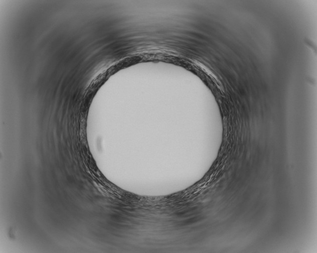 X0000096700775200803041320