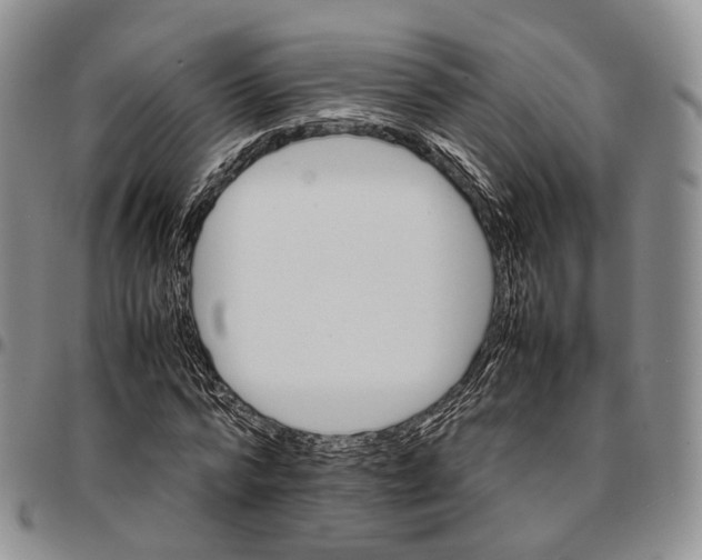 X0000096700776200803041320