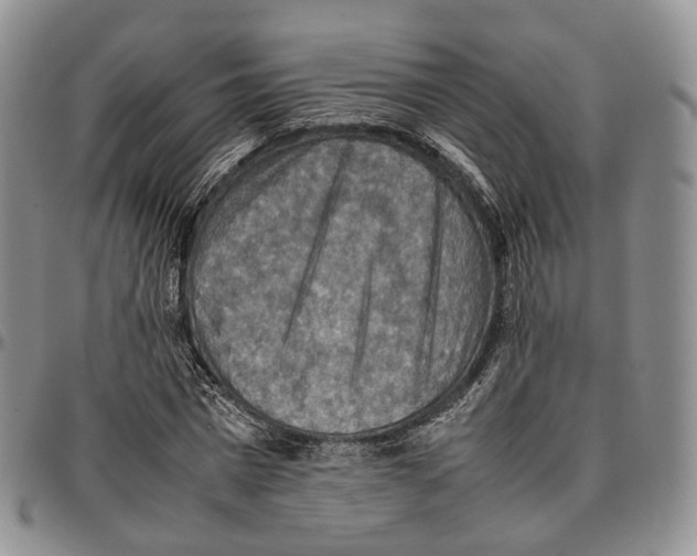 X0000096700777200803041320