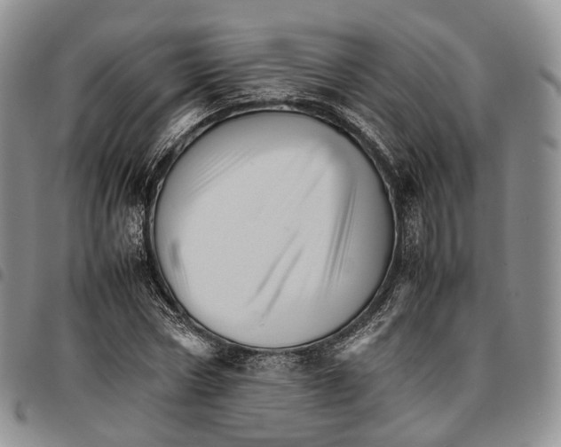 X0000096700778200803041320