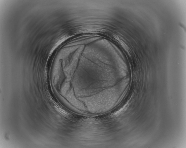 X0000096700779200803041320