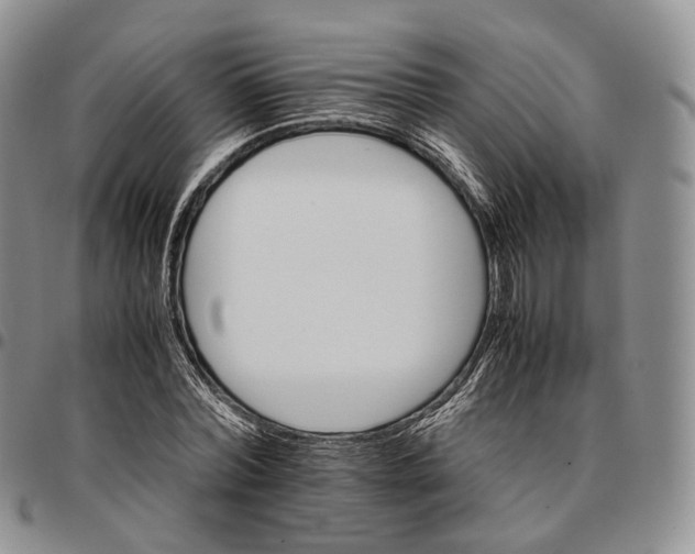 X0000096700780200803041320