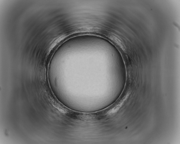 X0000096700781200803041320