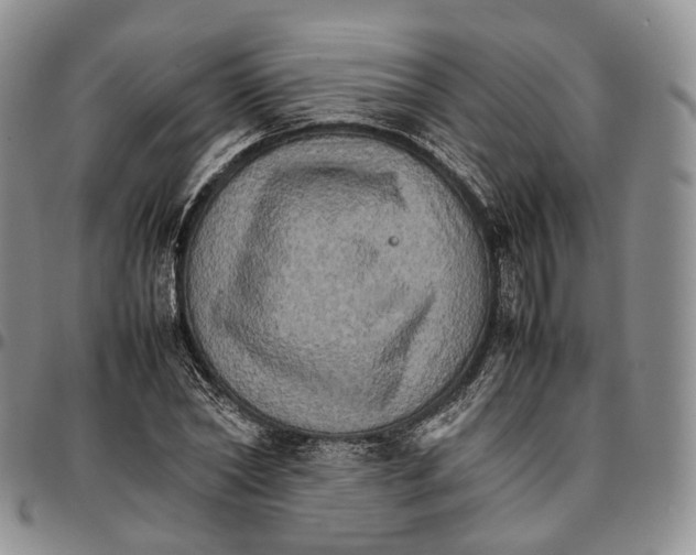 X0000096700782200803041320