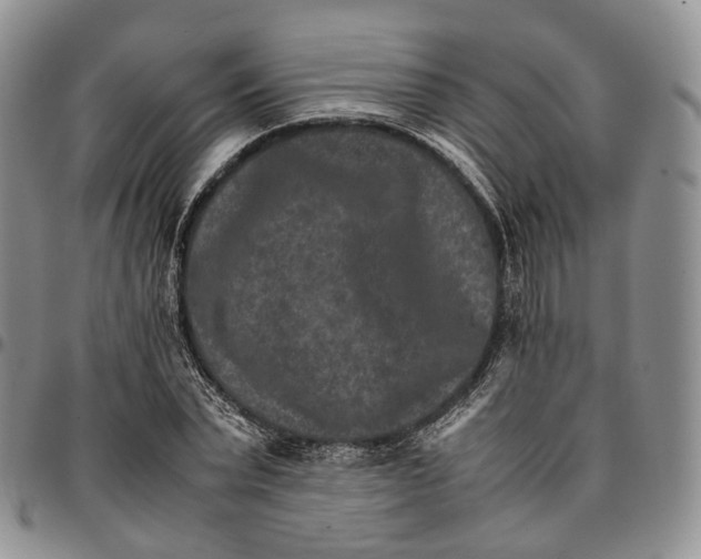 X0000096700783200803041320