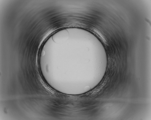 X0000096700788200803041320