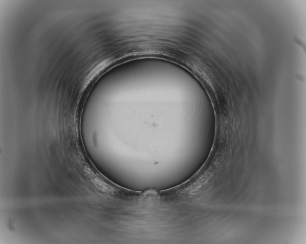 X0000096700789200803041320
