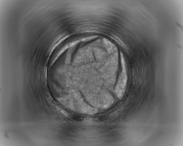X0000096700790200803041320