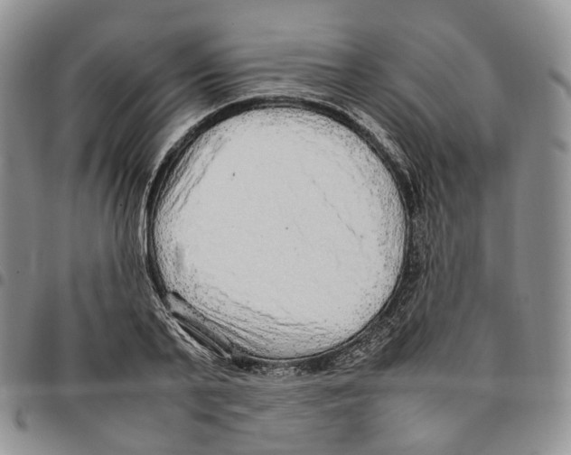 X0000096700791200803041320